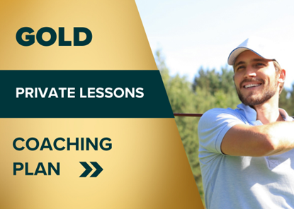 Picture of Gold Coaching Plan