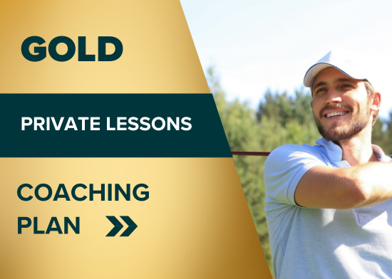 Picture of Gold Coaching Plan