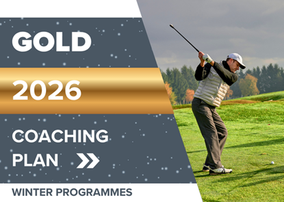 Picture of Gold Coaching Plan